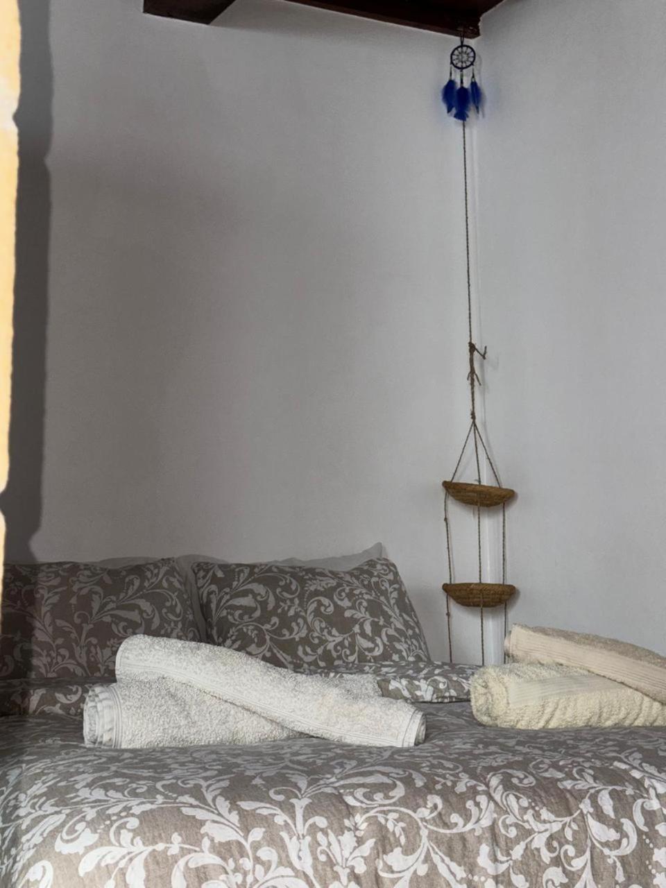 Appartement Zazou